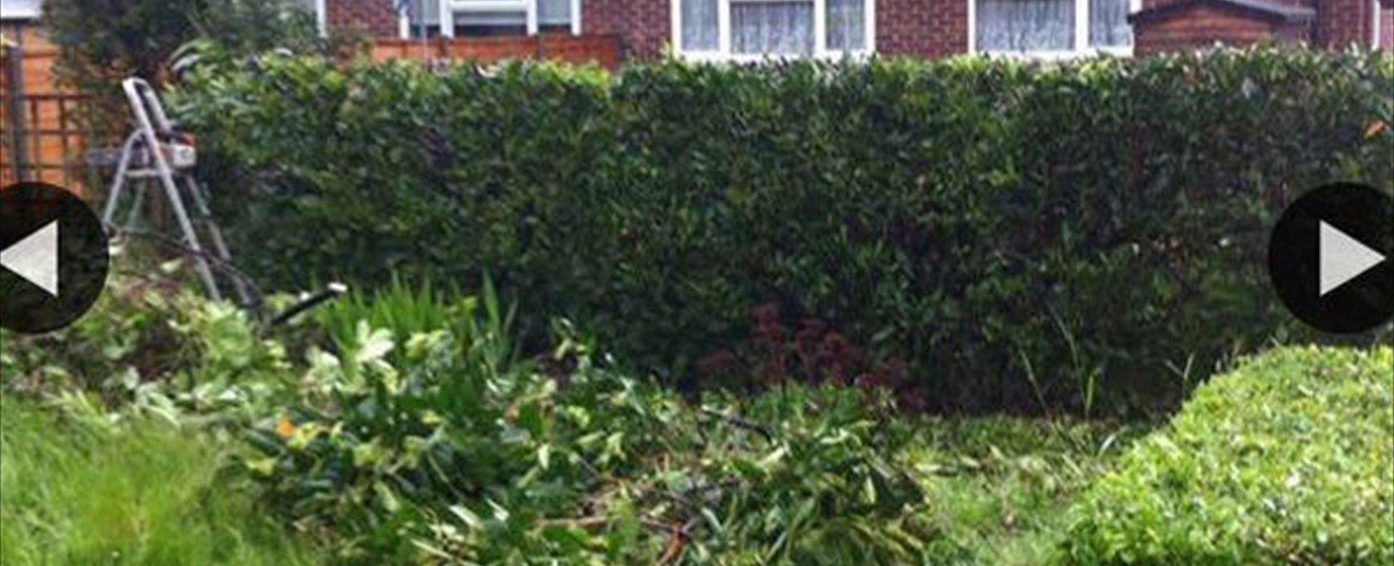 Gardens and Hedge Trims